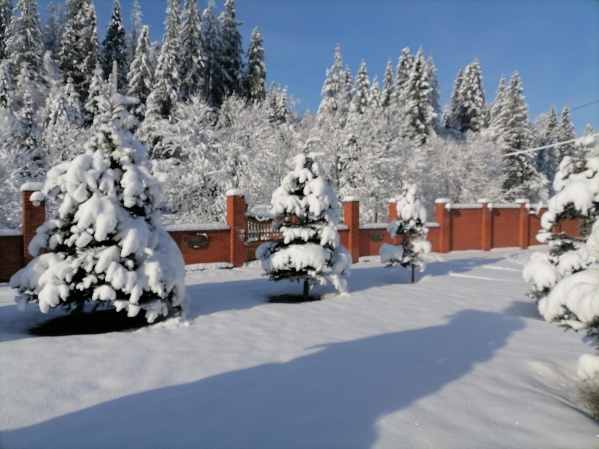 Zolota Pidkova Chalet *